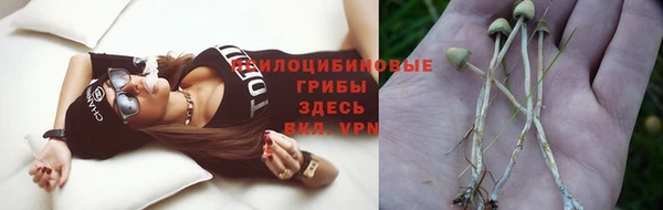 таблы Алексеевка